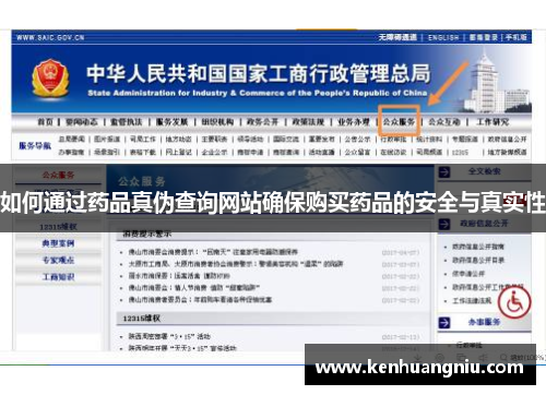 如何通过药品真伪查询网站确保购买药品的安全与真实性