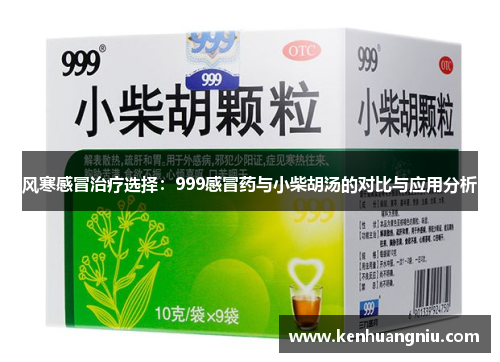 风寒感冒治疗选择：999感冒药与小柴胡汤的对比与应用分析